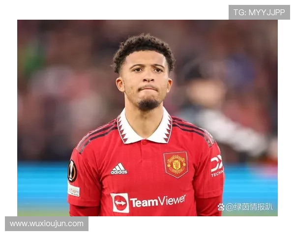 卫冕在望！那不勒斯豪购六大巨星，努涅斯、桑乔领衔冲击意甲连冠(2)